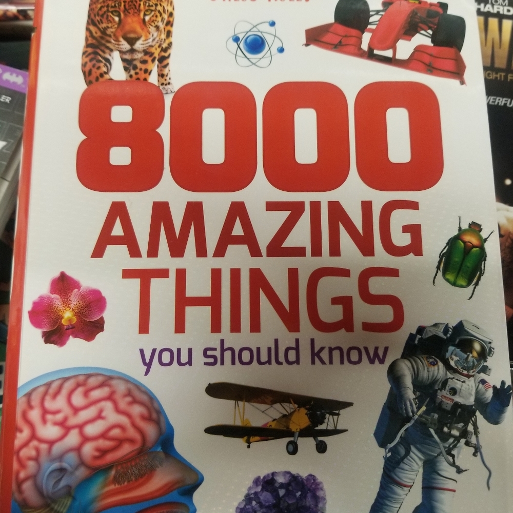 Book - 8000 Things You Should Know